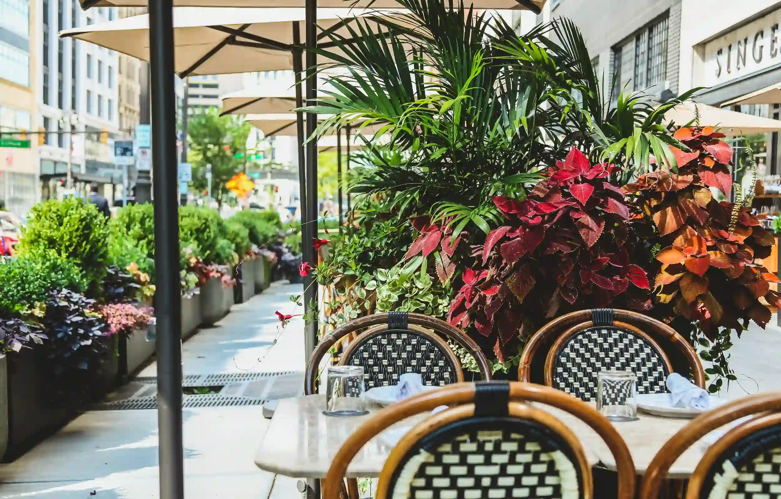 Image of outdoor dining with live plantscape