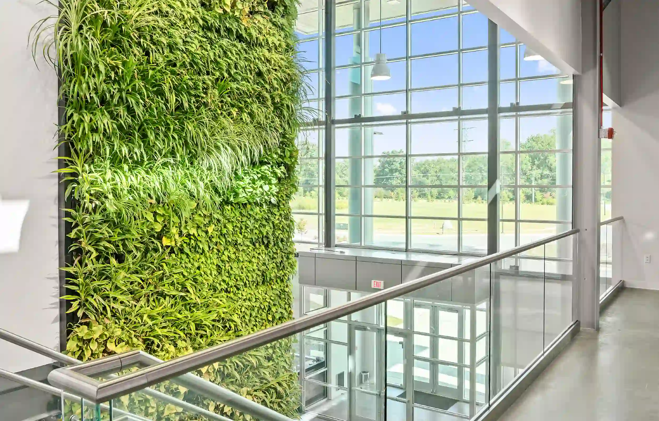 Image of a green wall near a stairway
