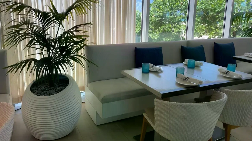 Ambius project large plant dining area