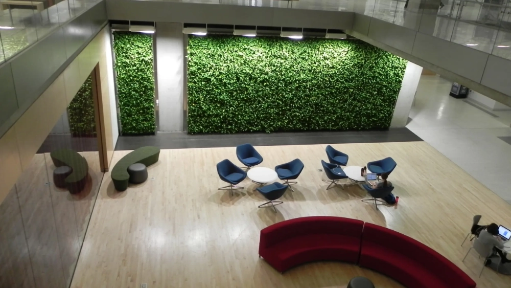 ambius-projects-image-george-washington-uni-2500-us