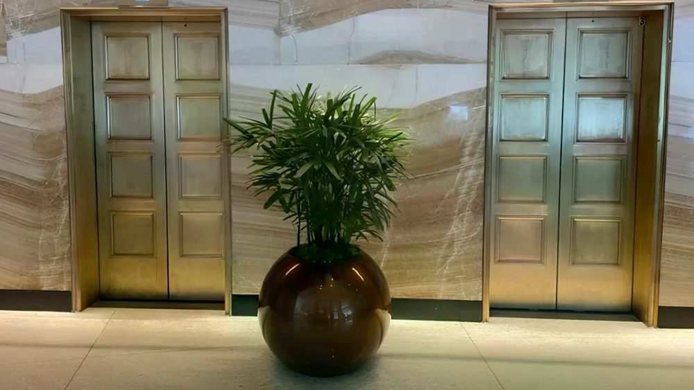Ambius project large plant at elevators
