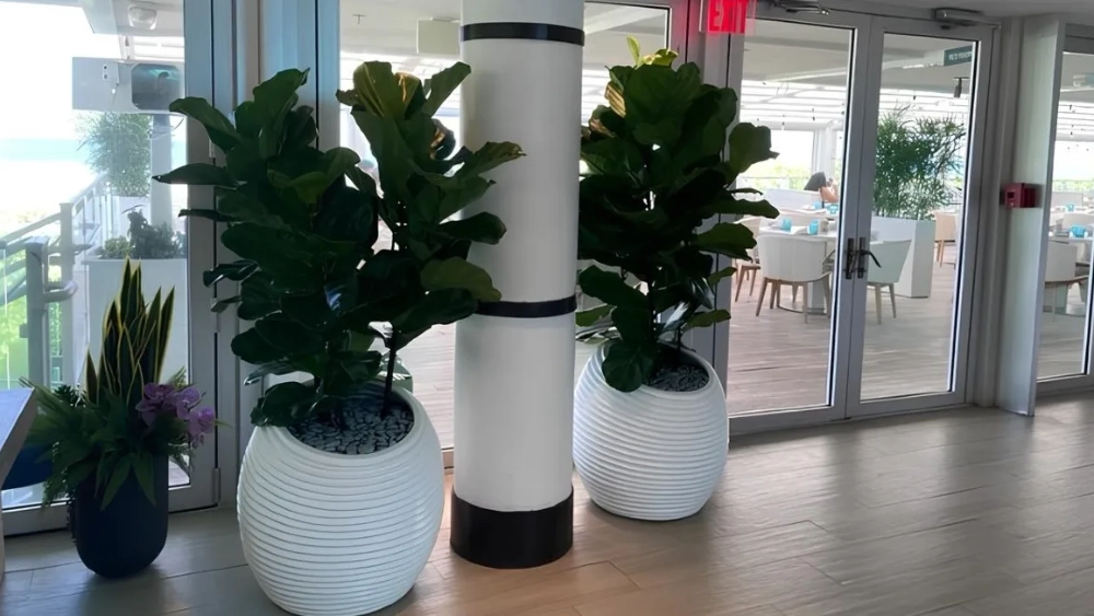 Ambius project large plant textured pots
