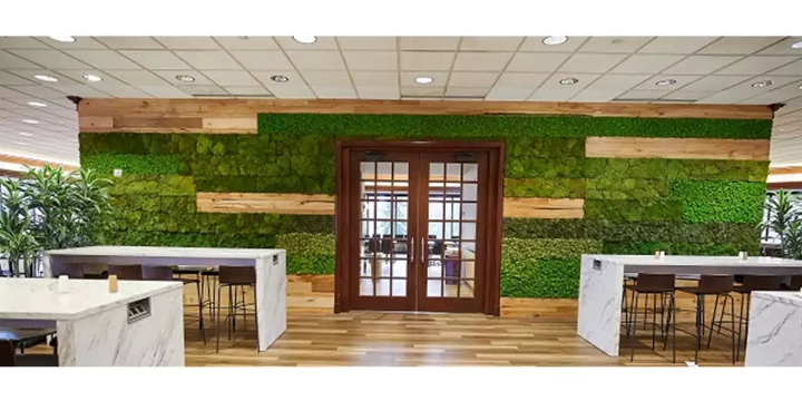 Ultimate Guide to Office Plants | Ambius