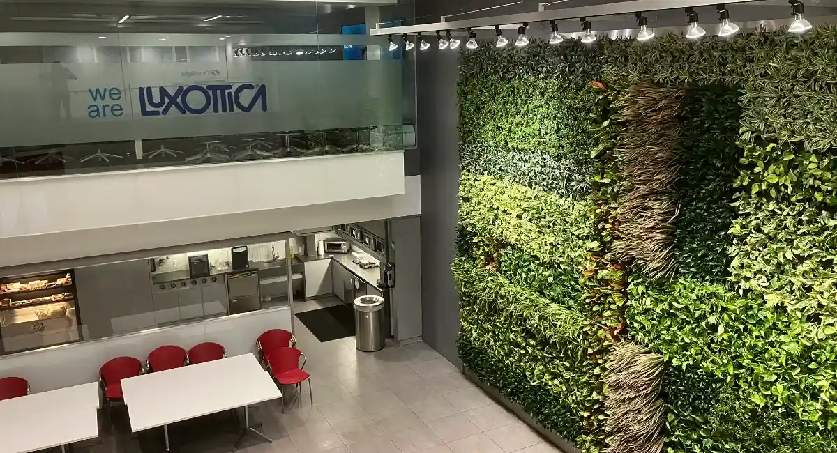 Green wall image from second floor in office building