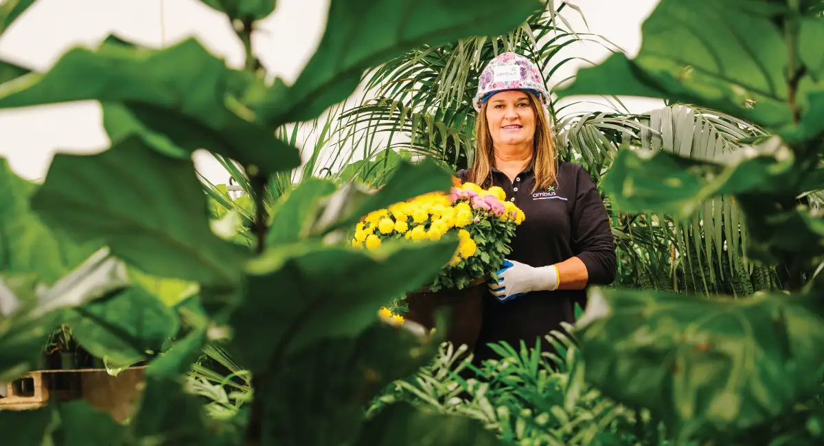 Person arranging plants