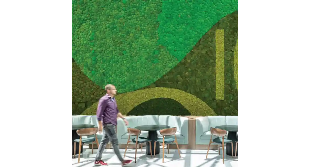 Restaurant plant wall