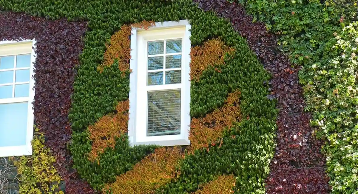 a building covered in green facade and a window