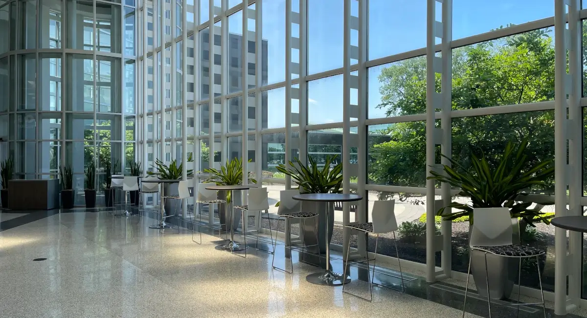 Greenery in sitting area