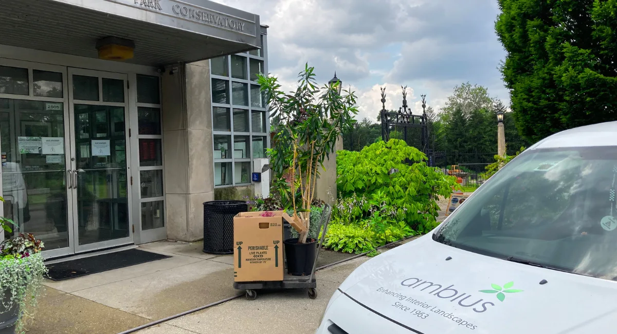 City Park Conservatory Plant Donations