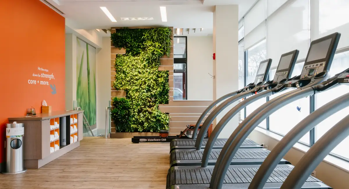 Green wall near treadmills in gym