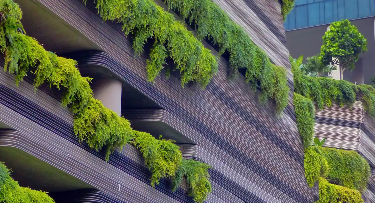image-stock-ambius-hanging-plants-office-building-getty-1317088885.webp