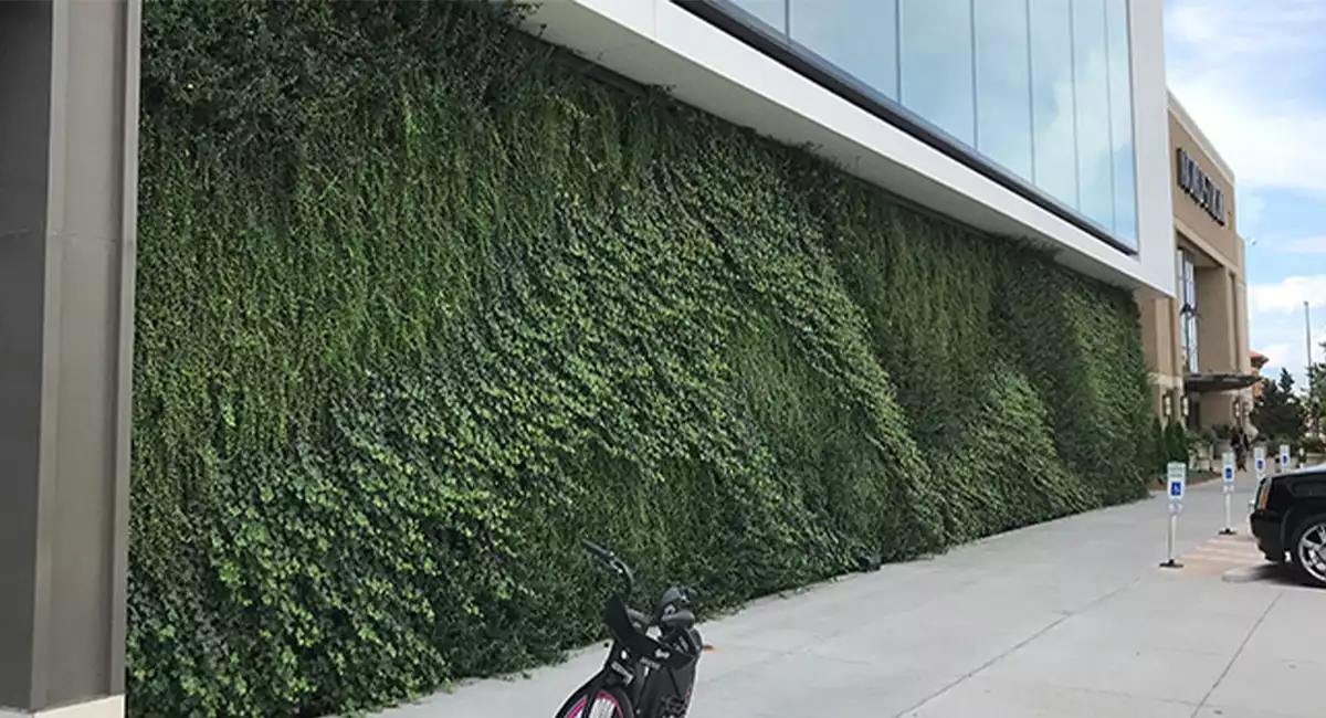green wall