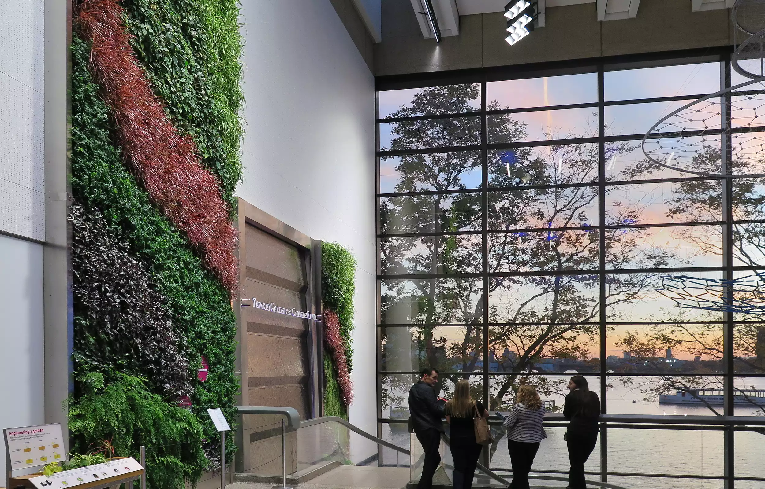 Green wall next to top of stairway