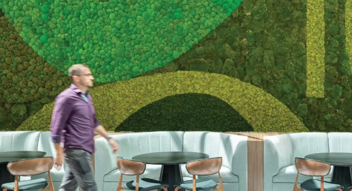 Restaurant plant wall