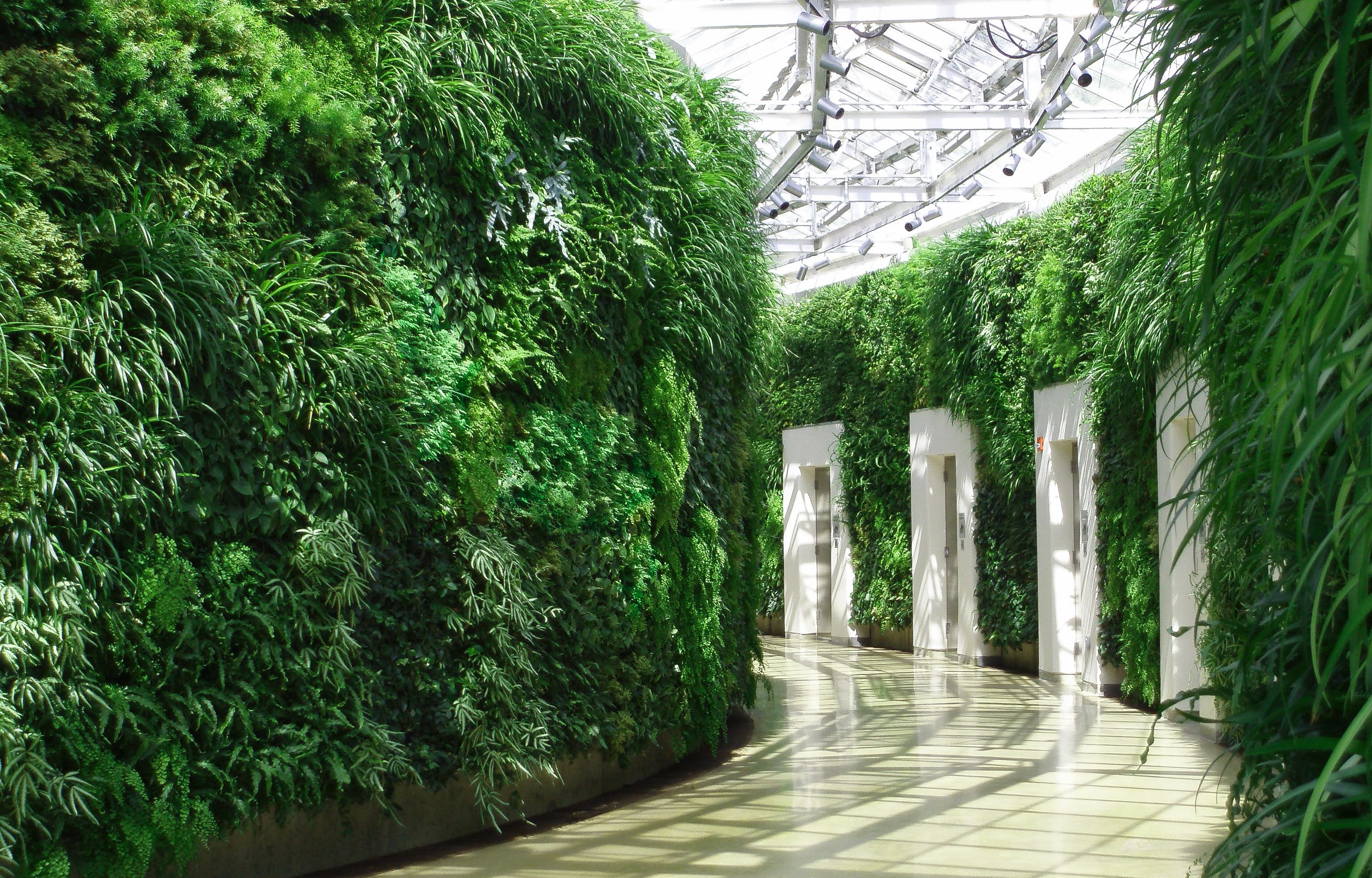 Green wall in commercial property hallway by elevators