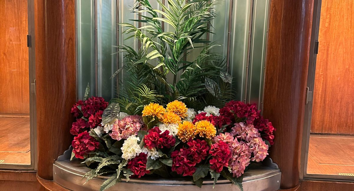 Live plants in planter on the Queen Mary ship