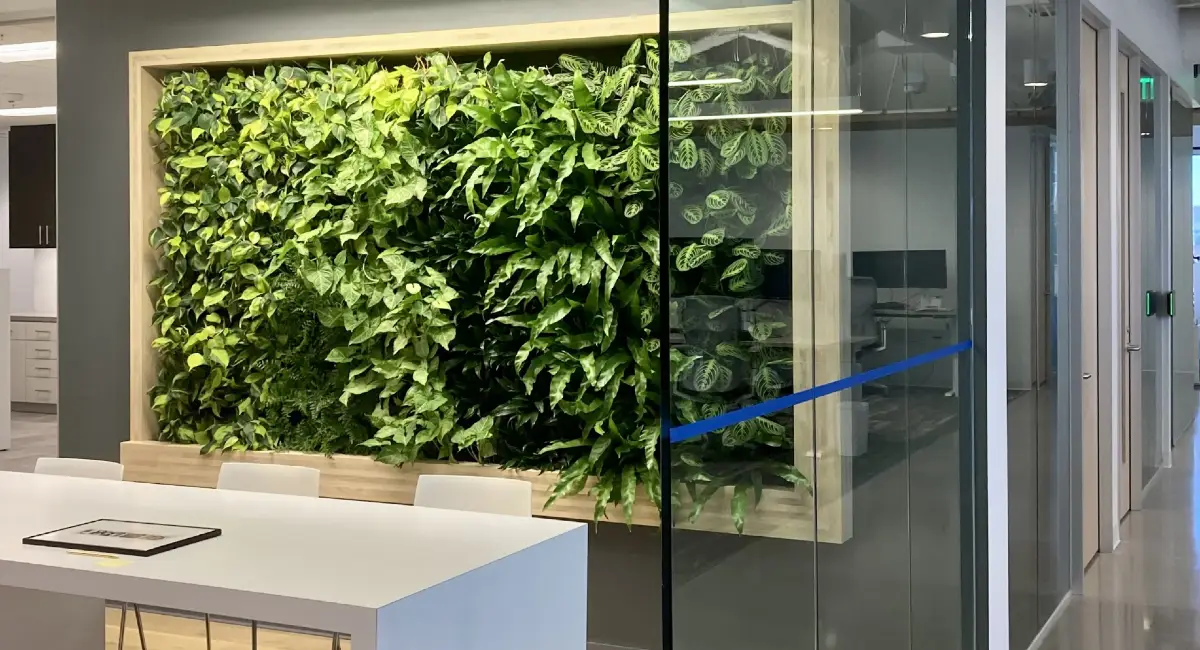 Framed green wall