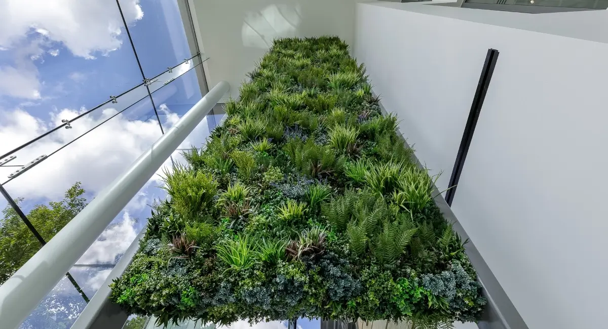 Upward view of living green wall