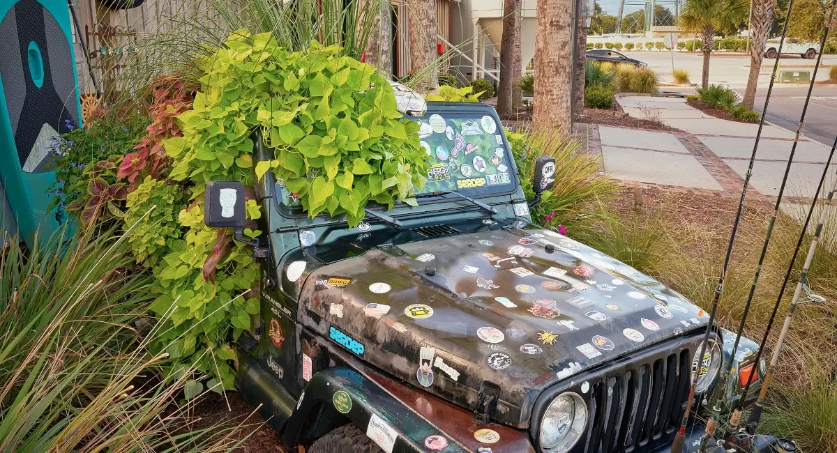 Live plants on old rusted Jeep