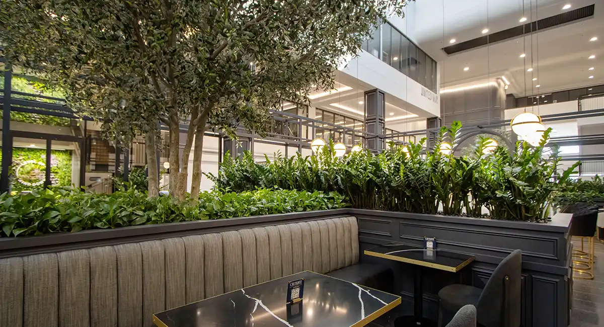 Biophilic  Design