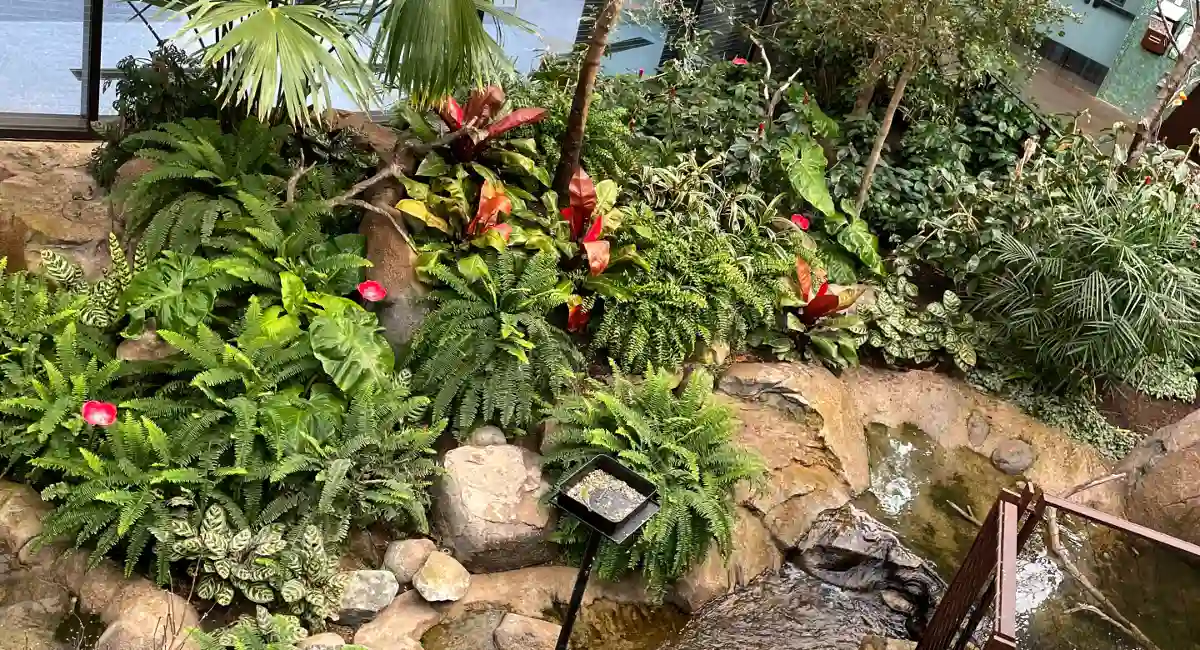 Live greenery in birdhouse aviary
