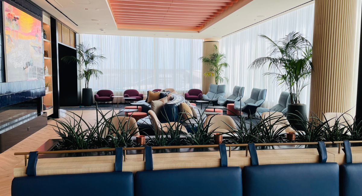 Live plant installation in an airport lounge