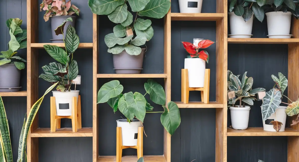 Wall of replica plants on shelves