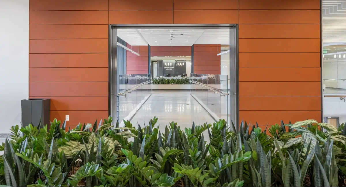 Modern healthcare lobby featuring a large indoor planter box with lush green snake plants and ZZ plants.