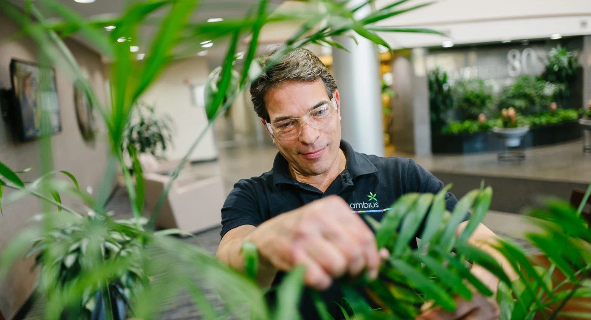 5 Reasons Businessses Should Work With Plant Care Professionals