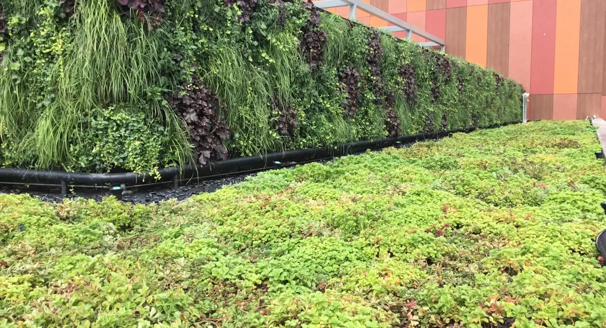 Green wall outside of technology retail company