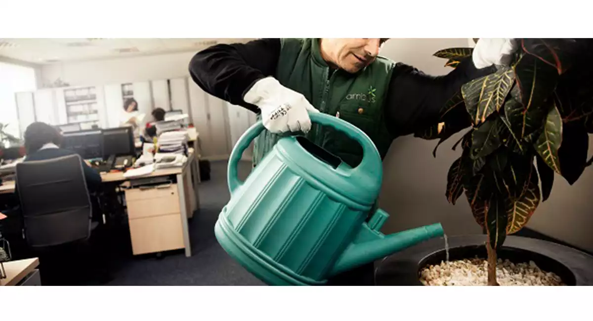 Tech watering plants