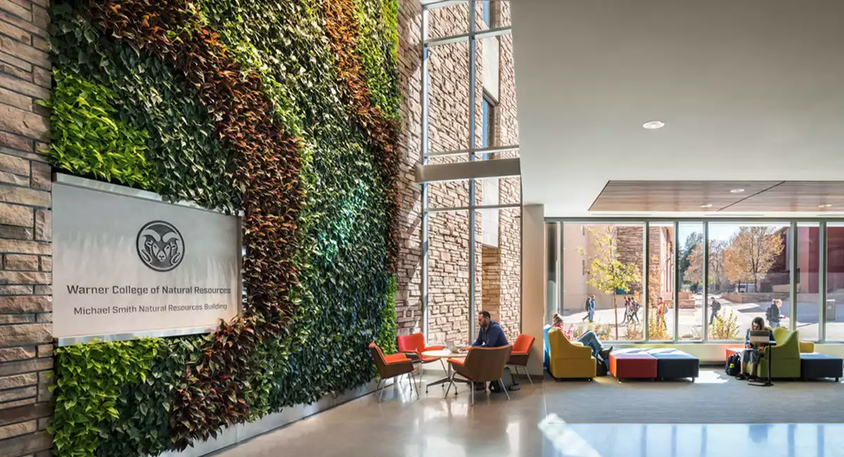 Colorado State University green wall project