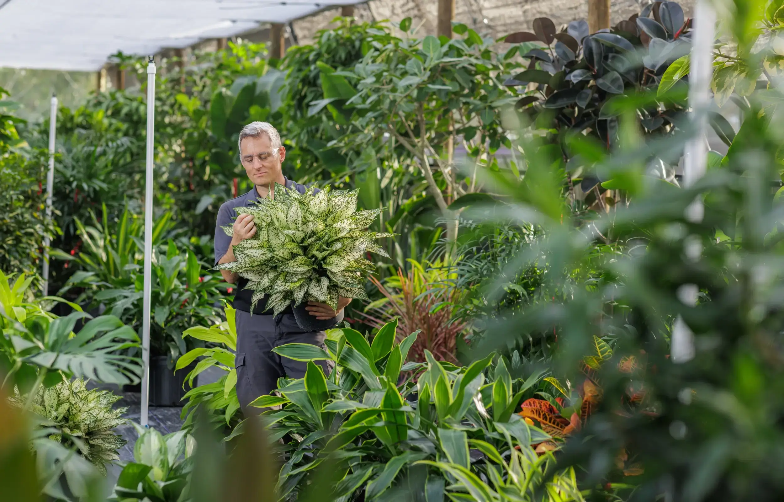 Interior Landscaping & Office Plant Services in San Francisco, CA