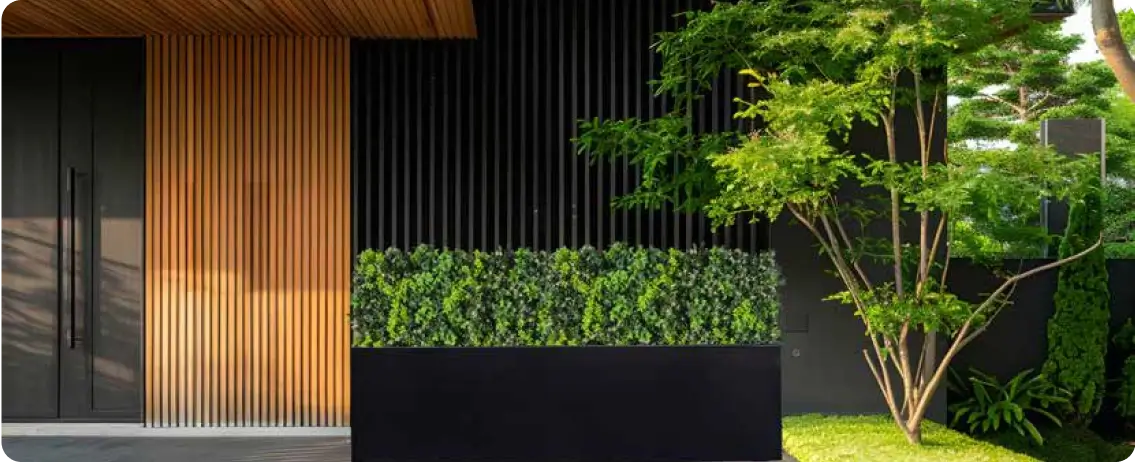 Boxwood replica hedge indoors