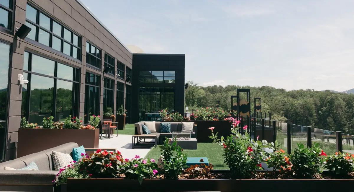 A lush rooftop garden with exterior containers, beautiful plants overlooking the Smokey Mountains.