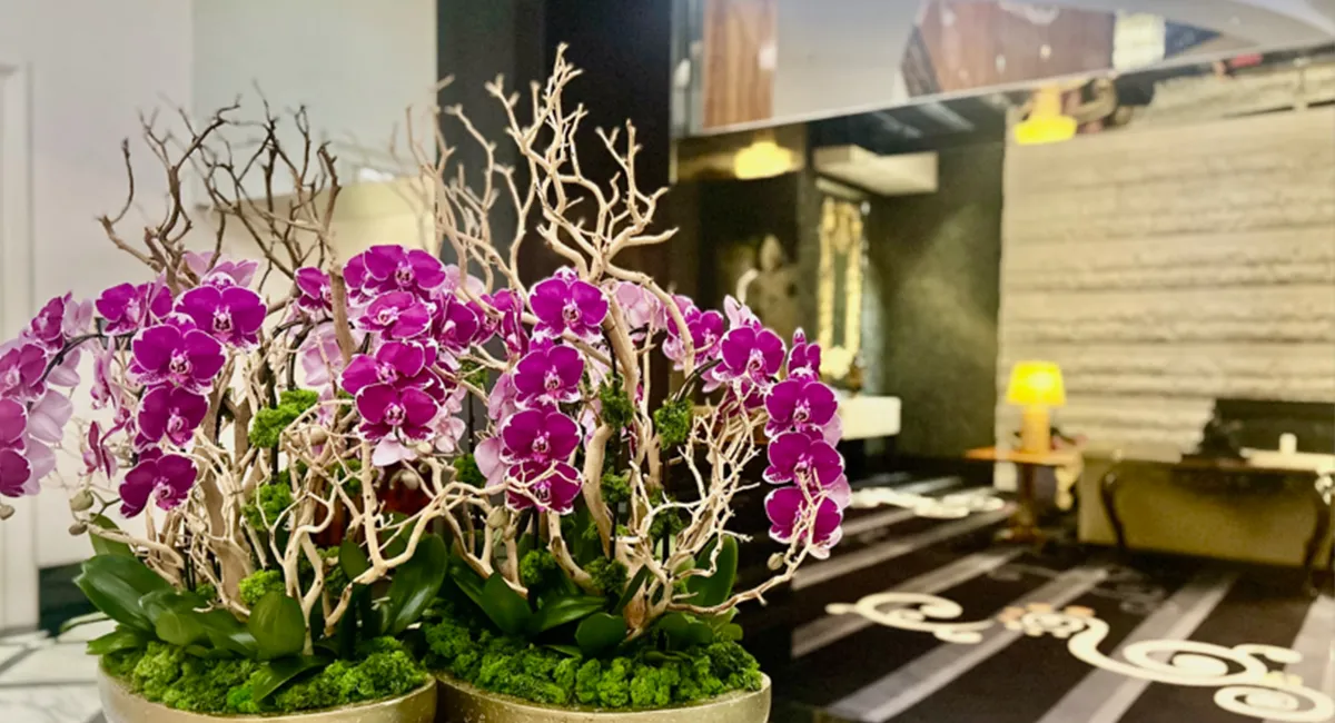 Living Wall