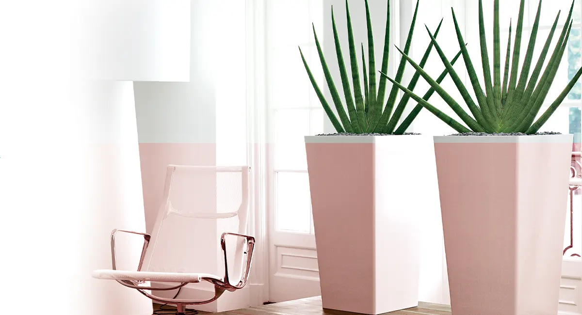 plant pot