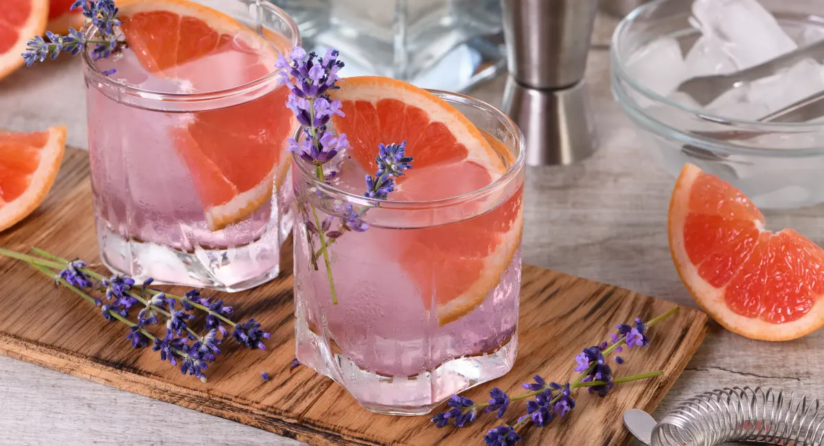 The Lavender Paloma