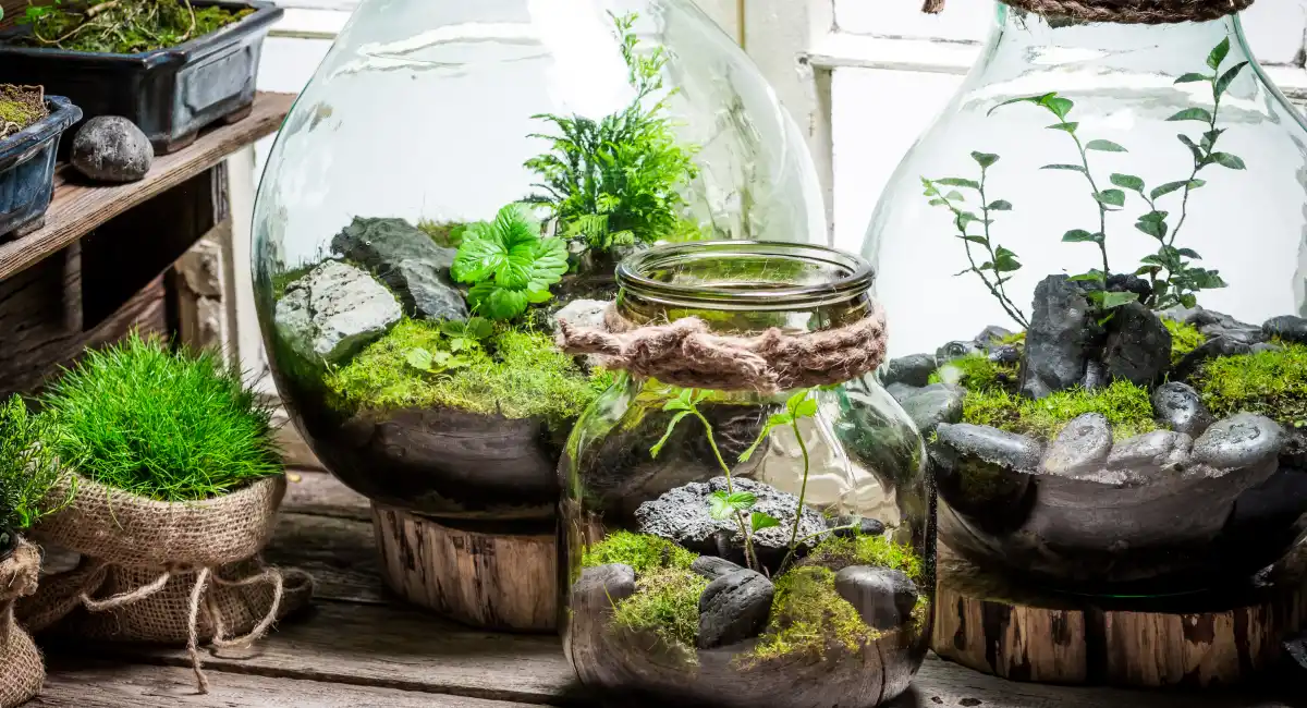 image-banner-stock-beautiful-jar-with-live-forest-with-self-ecosystem-621240084.webp