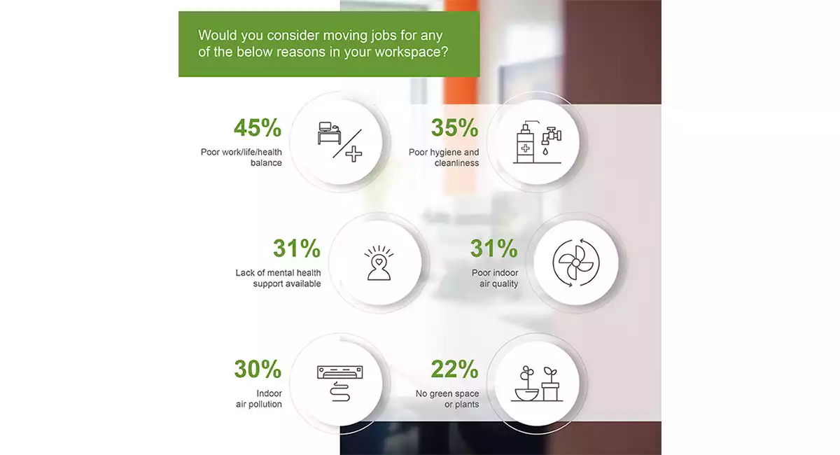 Productivity focus stats