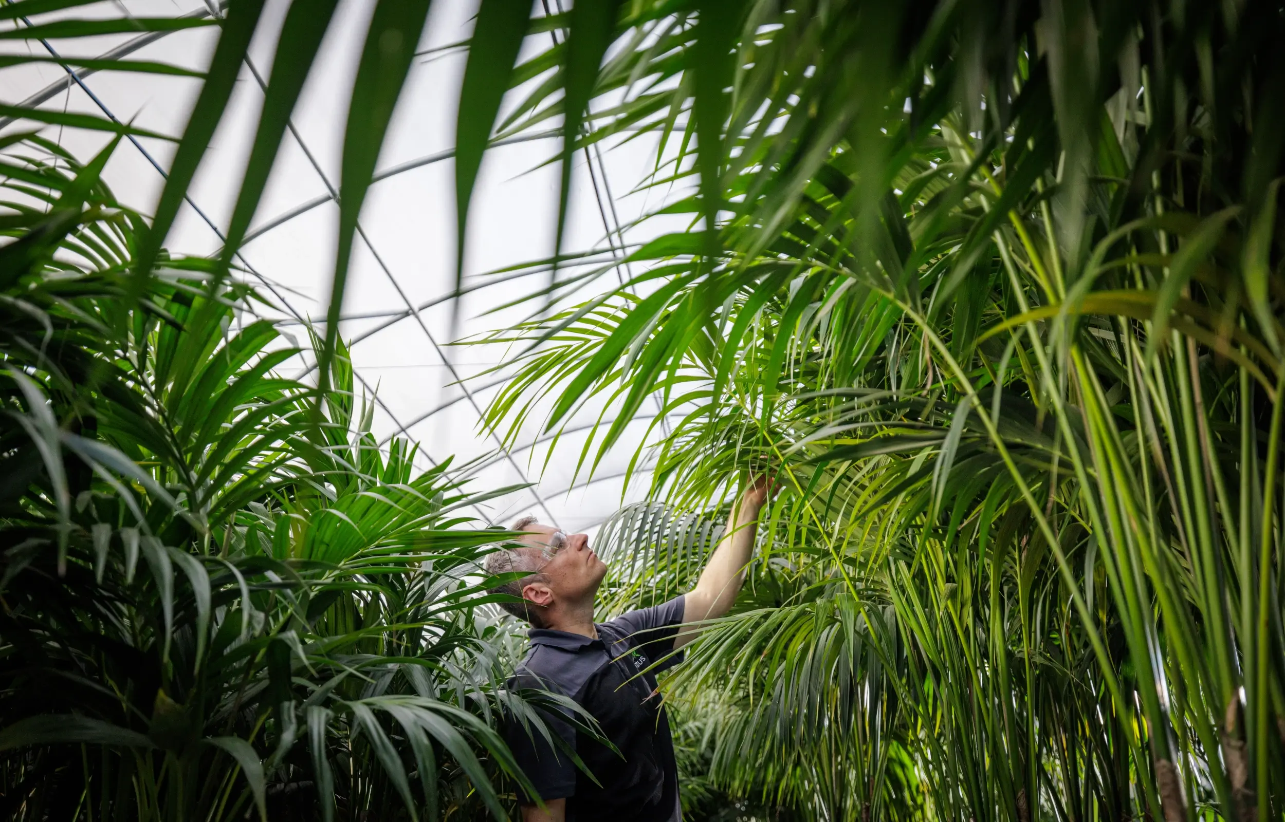 Interior Landscaping & Office Plant Services in Kansas City, MO