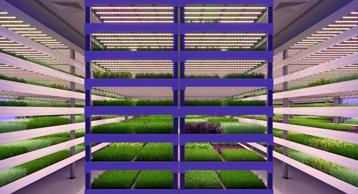 Vertical farming