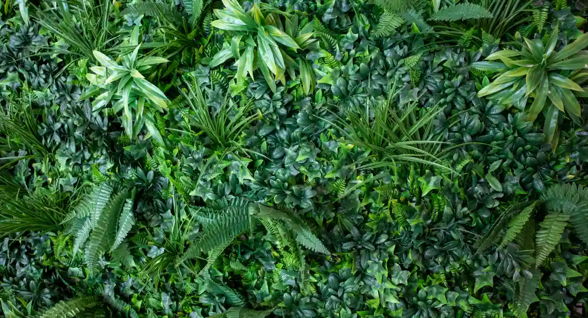 image-banner-stock-interior-green-vertical-garden-wall-1224308271.webp