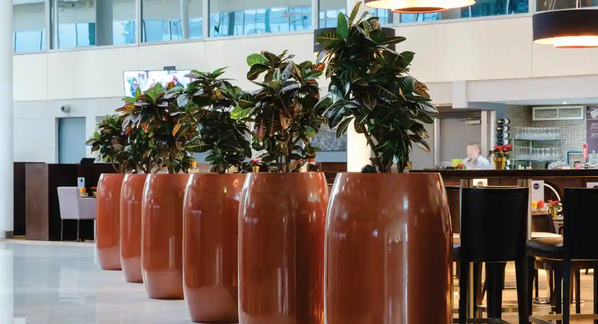 Plants in a tall pot