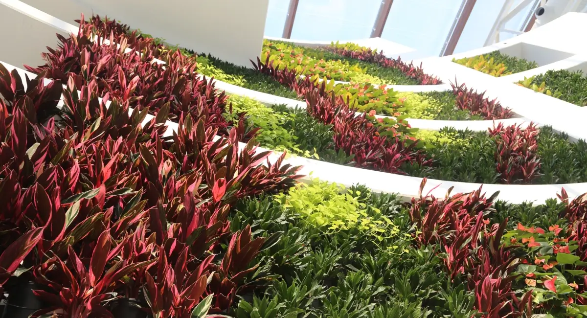 Upward view of green wall