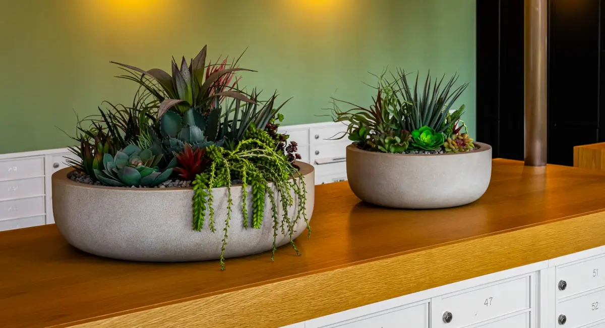 Indoor greenery in luxury apartment