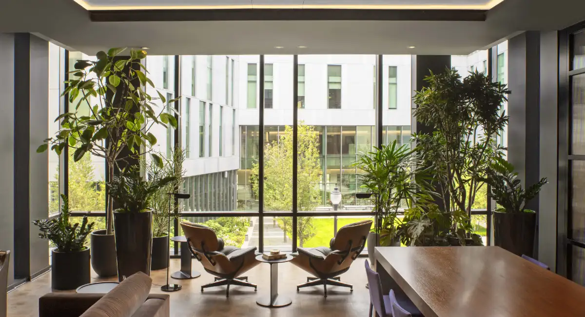 Two chairs in between potted plants