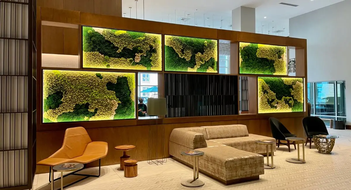 Moss wall in the shape of a map
