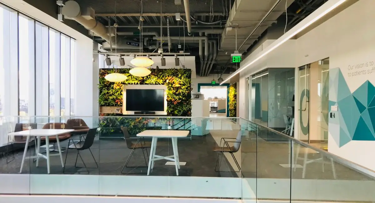 Living green wall around computer monitor in sitting area