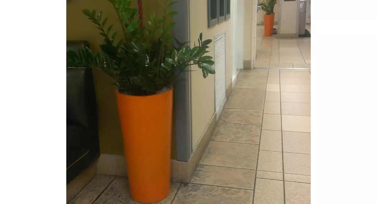 pl